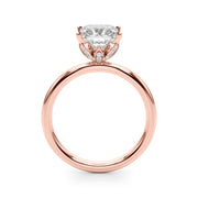 Celestial Sidestone Princess Diamond Engagement Ring in 10K/14K gold and platinum with certified lab-grown or natural diamonds