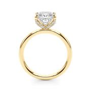 Noble Sidestone Princess Diamond Engagement Ring in 10K/14K gold and platinum with certified lab-grown or natural diamonds