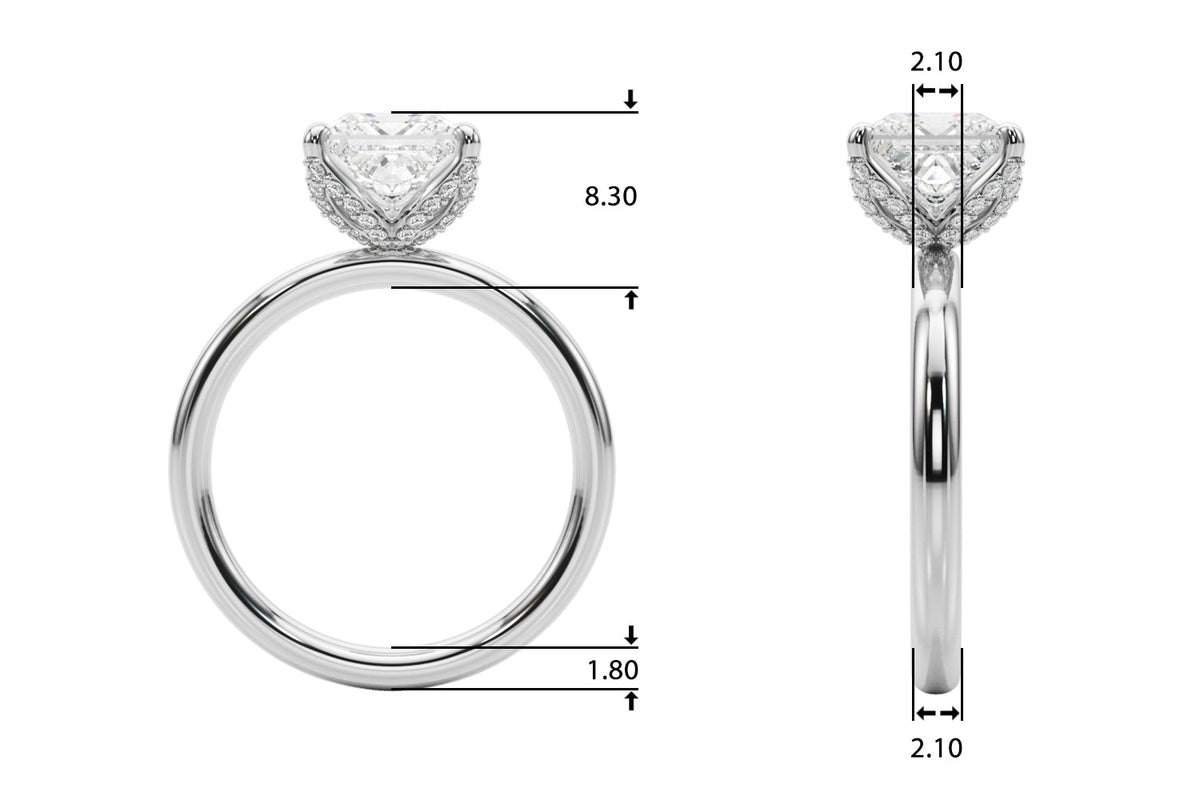 Noble Sidestone Princess Diamond Engagement Ring in 10K/14K gold and platinum with certified lab-grown or natural diamonds