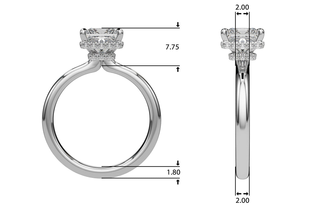 Dazzling Hidden Halo Cut Center Single Row Princess Diamond Engagement Ring in 10K/14K gold and platinum with certified lab-grown or natural diamonds