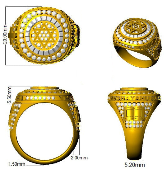 Star of David Championship Ring for Men Amethyst Halo Pave Diamonds in 10K/14K gold and platinum with certified lab-grown or natural diamonds